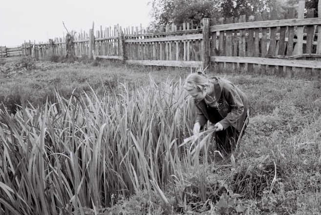 collecting-reeds-for-trinity-sunday-tsjerablichy-2012-2012150-9a