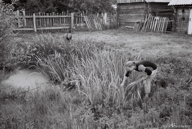 collecting-reeds-for-trinity-tsjerablichy-2012-2012150-f1070013