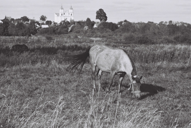 dunilavichy-2009