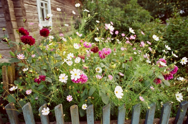early-september-near-dudy-2001