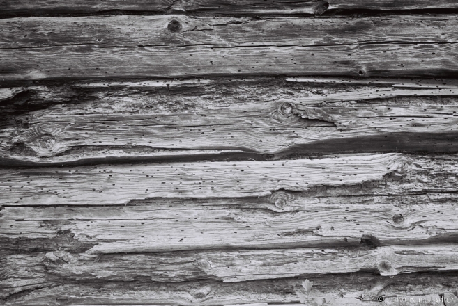 enduring-faces-maladzjelchytsy-2012-2012122-f1110025