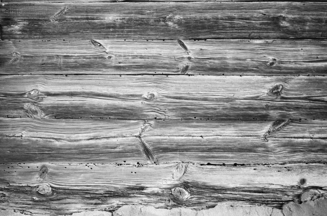 enduring-faces-ros-2011_0