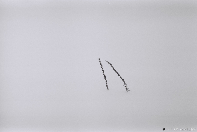 fjadory-2013-2013014-33
