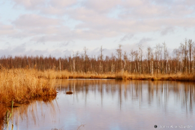 homage-to-karatkevich-bjarezina-nature-reserve-2001-2001283-31