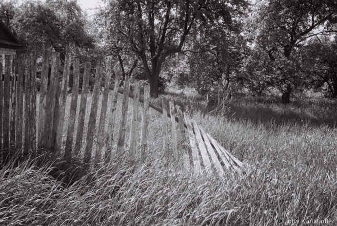 homage-to-the-fence-vii-kuradava-2012119-f1020019