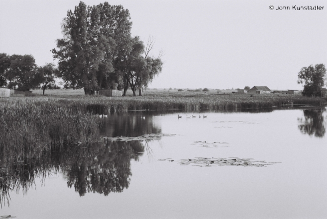 summer-evening-vjeljamichy-2012-2012195a-6a-f1090007