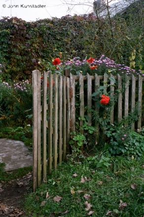 kazljeushchyna-2011