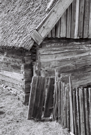 khrystsibalavichy-20102
