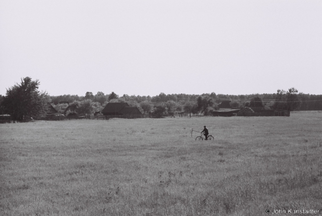 koziki-2012-2012117b