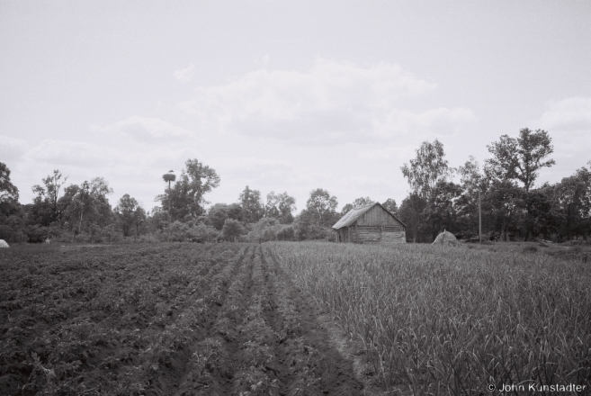 kudrychy-2012-2012121-f1170031