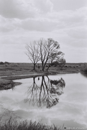 landscapes-of-polesia-tsjerablichy-2012-2012125-f1190026