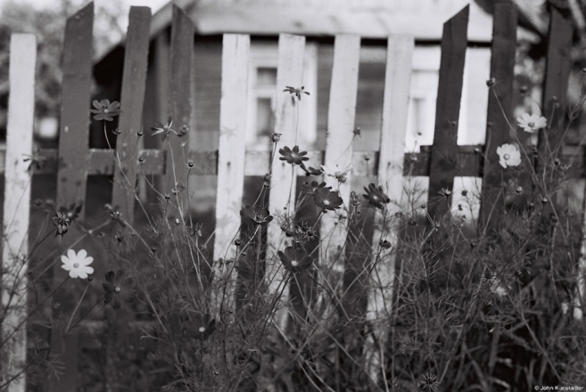 late-summer-vjalikija-zhukhavichy-2009