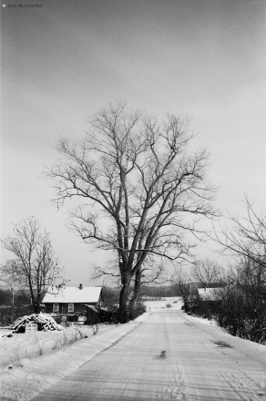 lichytsy-20112