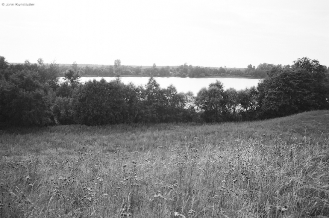light-in-august-psuja-2007