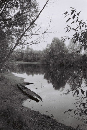 machul-2012-2012266-26a