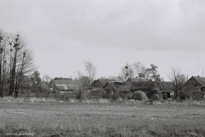 maladzelchytsy-2012-2012080-12