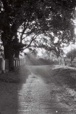 malyja-zhukavichy-2009