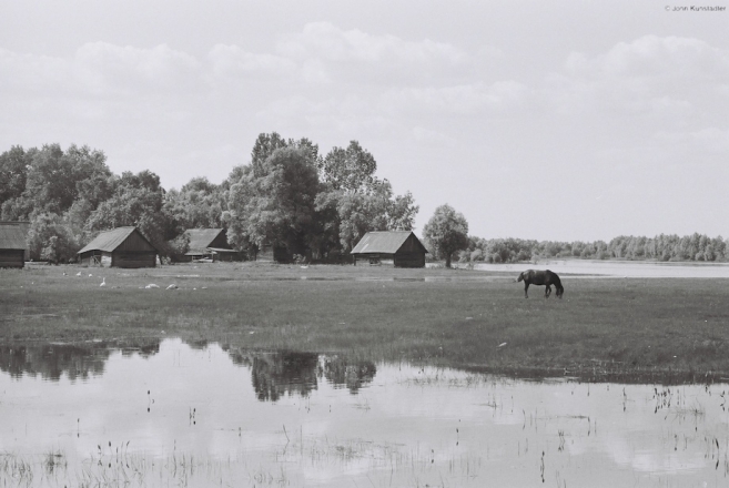 may-afternoon-vjerasnitsa-2010