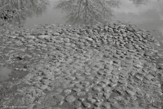 old-road-savichy-2011
