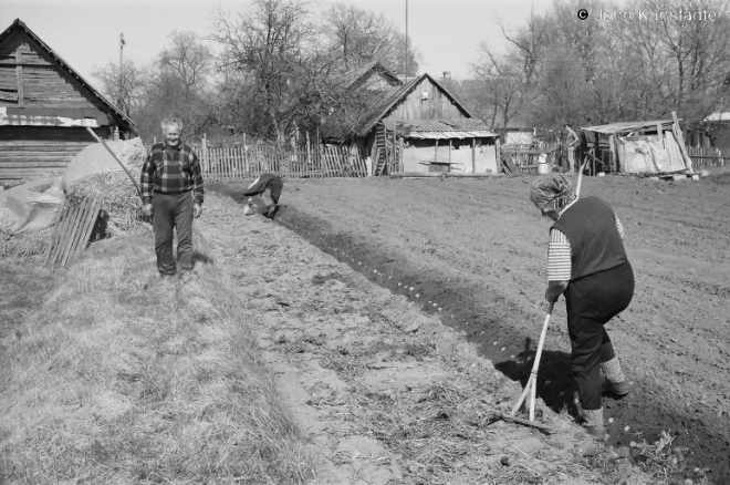 planting-potatoes-kamjen-2009-2009106-32