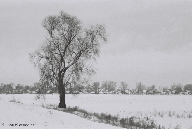 polesia-in-winter-xiv-alhomjel-2012024-18-f1000019