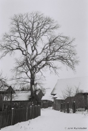 polesia-in-winter-xvi-tsjerablichy-2012-2012022-1a