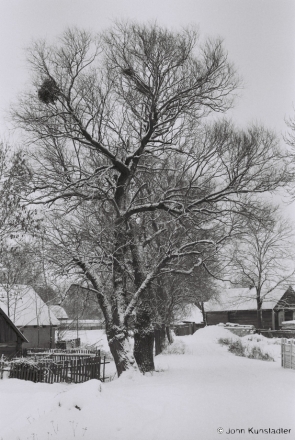 polesia-in-winter-xvii-vjalikaje-maljeshava-2012-2012025-3a
