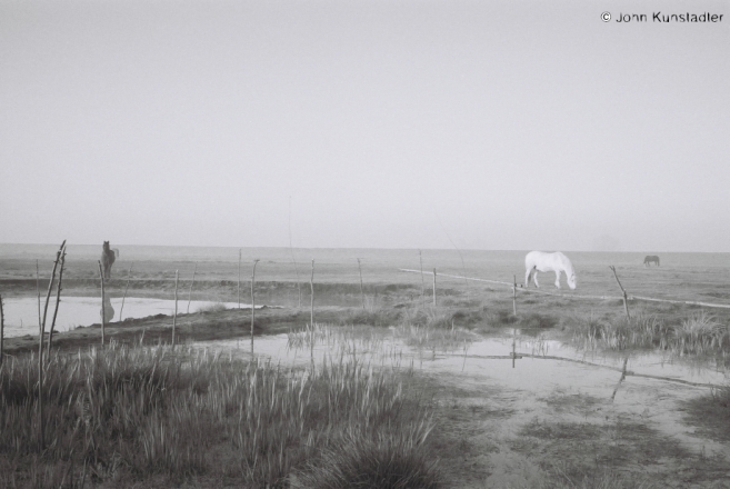 polesian-spring-tsjerablichy-2011