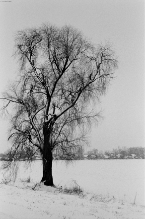 polesia-in-winter-ii-alhomjel-20112