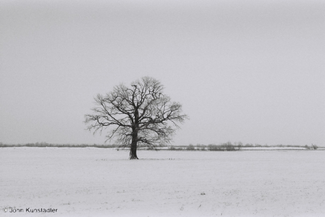 polesia-in-winter-ix-varonina-2012-2012008b-f1000032