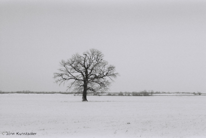 polesia-in-winter-ix-varonina-2012-2012008b-f1000032