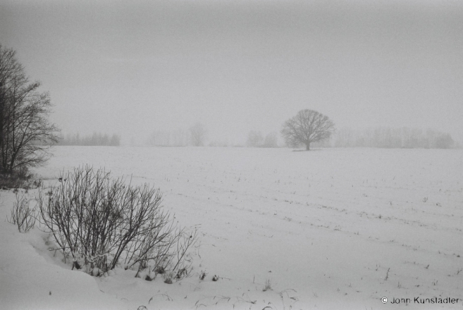 polesia-in-winter-vi-tsjerablichy-2012-2012015-f1110026