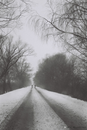 polesia-in-winter-viii-azdamichy-tsjerablichy-road-2012-2012018-f1060013