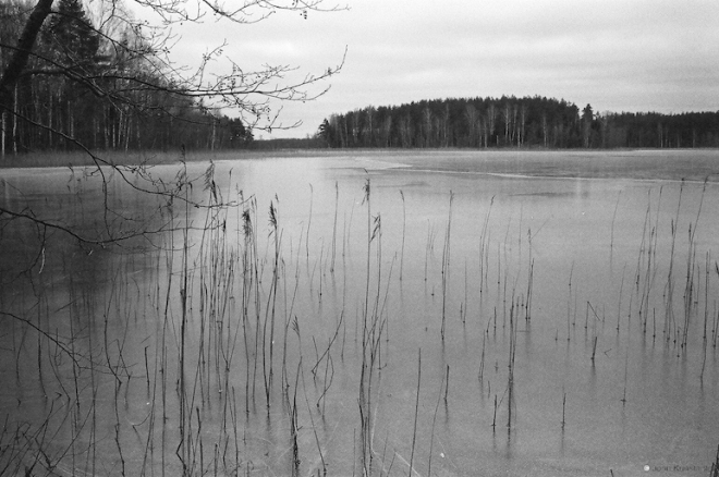 rasonshchyna-2007