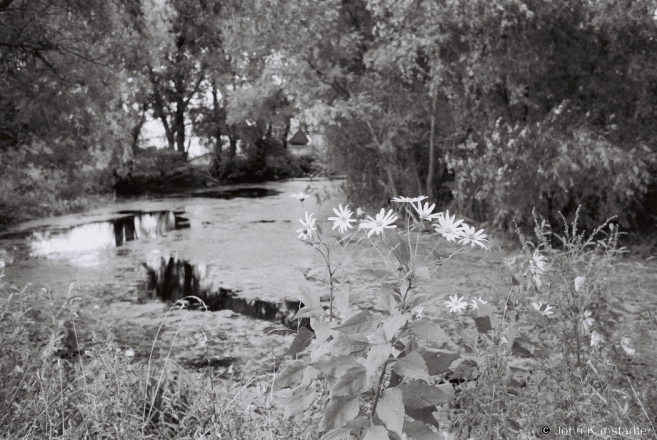remembering-august-alpjen-2012-2012275
