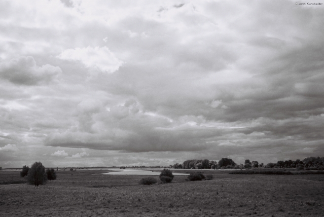 river-haryn-2010