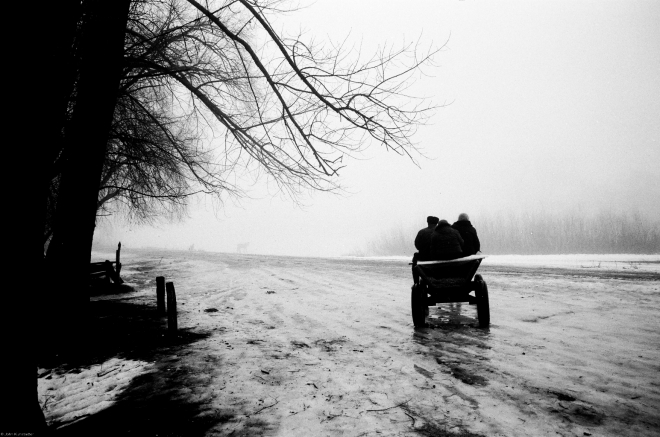 rubjel-20115