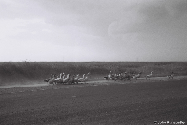 rushing-home-before-the-storm-malishau-2013-2013258-22a