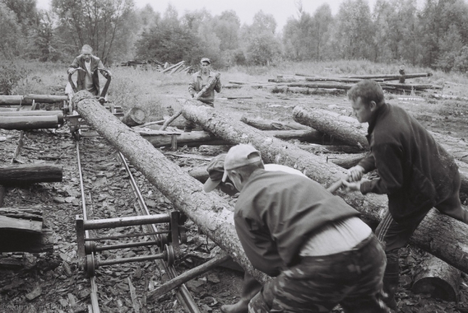 1-sawmill-azdamichy-2012-2012263b-34a