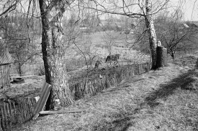 signs-of-spring-chareja-2007