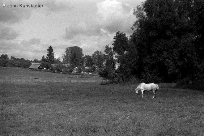 smaljany-2010