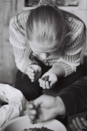 sorting-cranberries-tsjerablichy-2010_0