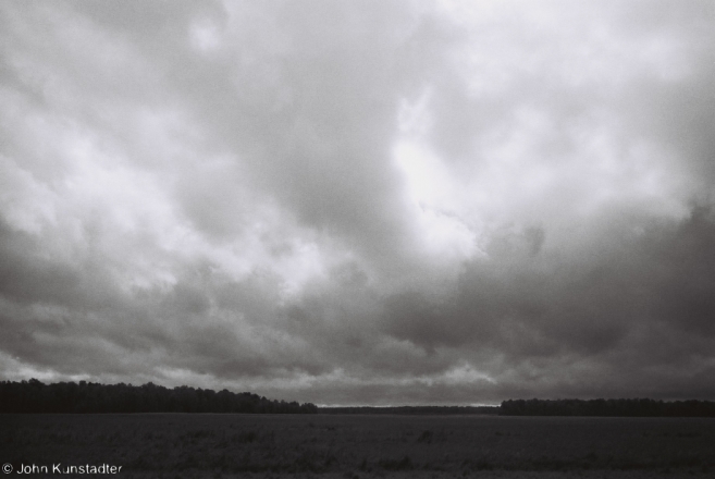 sosny-2012-2012215a