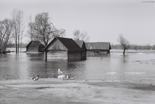 spring-flood-vjerasnitsa-2010