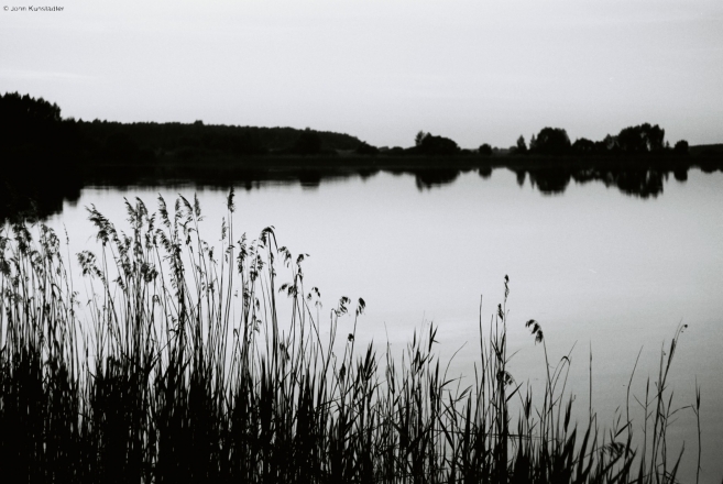 strenki-2009