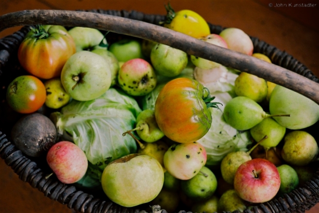 polesian-bounty-tsjerablichy-2012-2012249-352