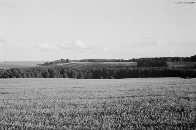 summer-landscapes-of-belarus-nr-markinjaty-2008