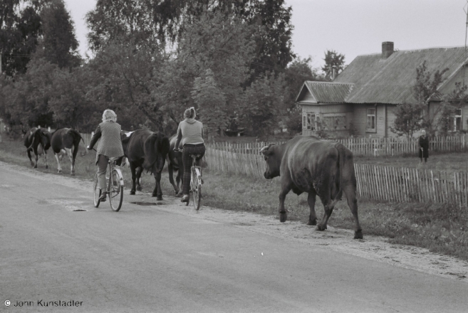 taking-the-cows-home-iody-2011-2011229-06_0