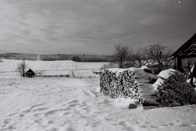 vjapraty-2010_1