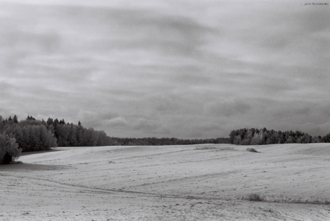 vjapraty-2010_4